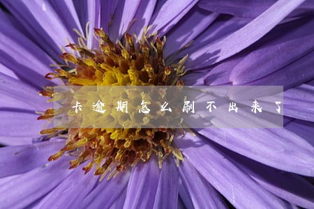 卡逾期怎么刷不出来了
