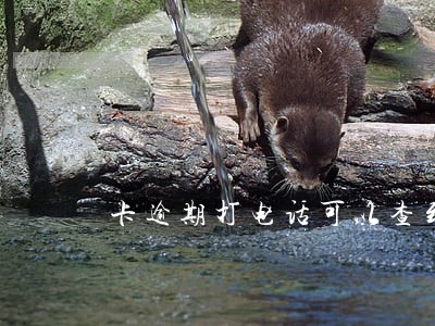 卡逾期打电话可以查到吗