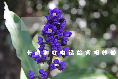 卡逾期打电话给客服账单