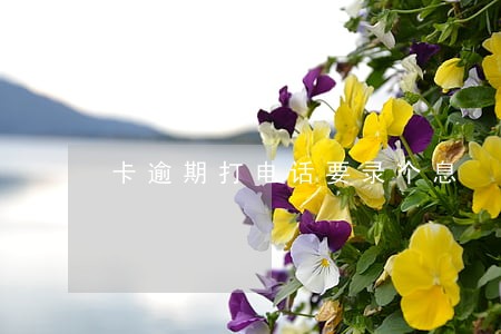 卡逾期打电话要录个息