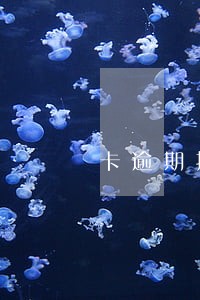 卡逾期报了会怎么样