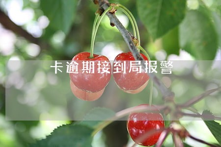 卡逾期接到局报警