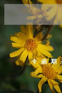 卡逾期是一到三倍罚金吗