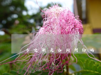 卡逾期是合同纠纷吗