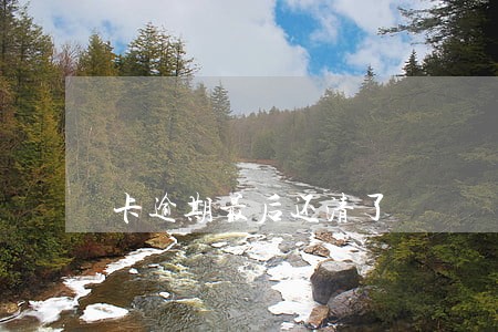 卡逾期最后还清了