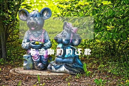 卡逾期月月还款