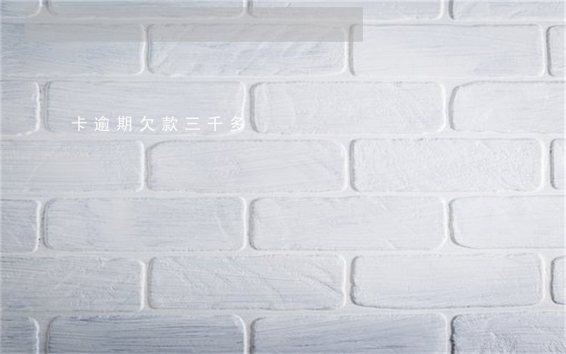 卡逾期欠款三千多