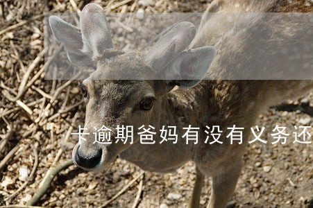 卡逾期爸妈有没有义务还