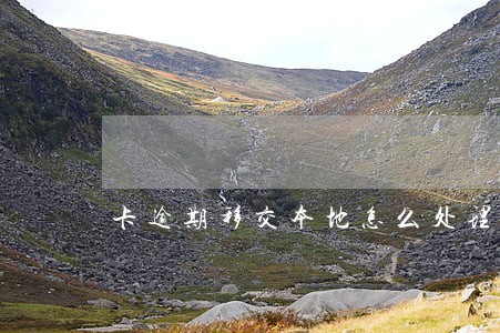 卡逾期移交本地怎么处理