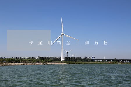 卡逾期罚金三到五倍