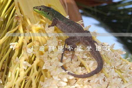卡逾期能不能坐地铁