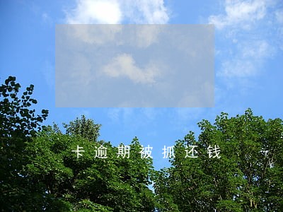 卡逾期被抓还钱