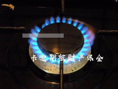 卡逾期被财产保全