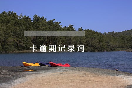 卡逾期记录询