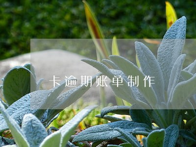 卡逾期账单制作