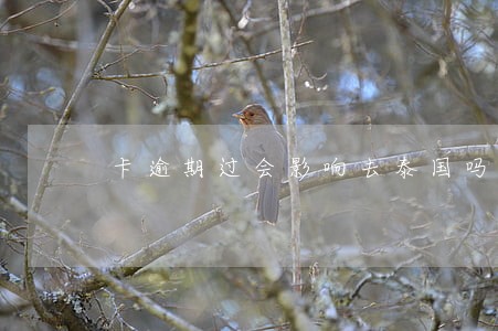 卡逾期过会影响去泰国吗