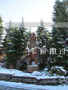 卡逾期过还能分期整容么