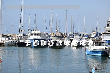 卡逾期还款收费标准