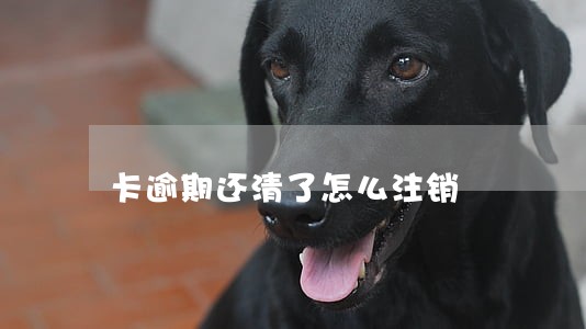 卡逾期还清了怎么注销