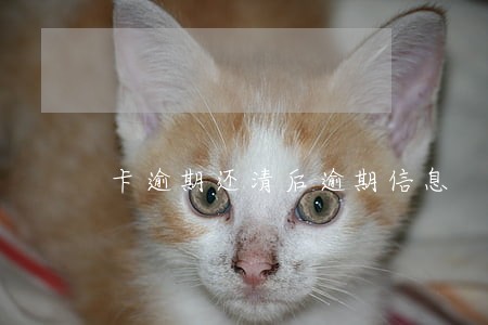 卡逾期还清后逾期信息