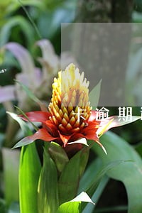 卡逾期还清被冻结了怎么办
