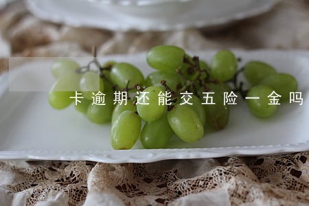 卡逾期还能交五险一金吗