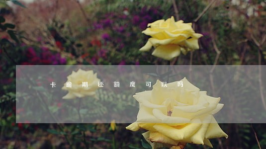 卡逾期还额度可以吗