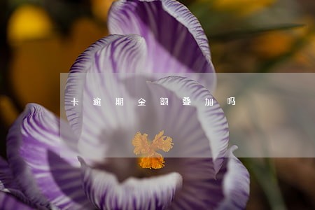 卡逾期金额叠加吗