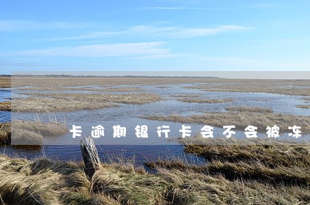 卡逾期银行卡会不会被冻死