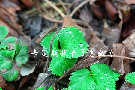 卡逾期锁卡了怎么办