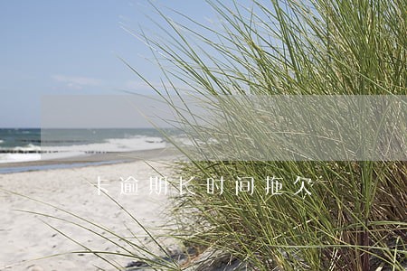 卡逾期长时间拖欠