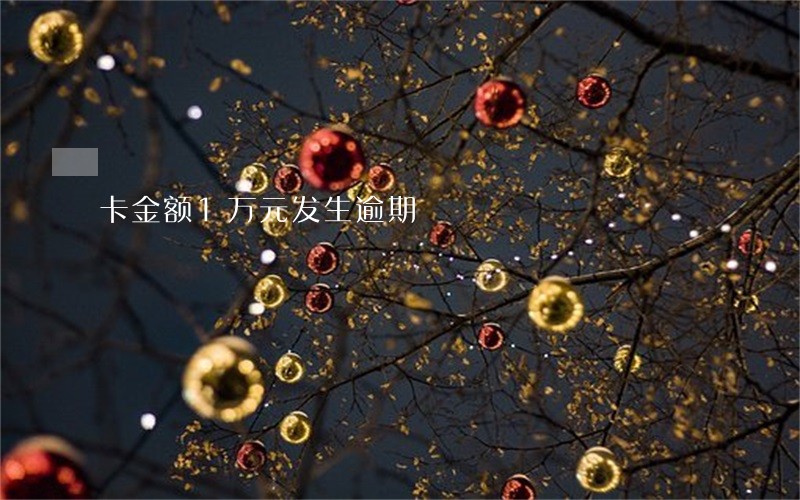 卡金额1万元发生逾期