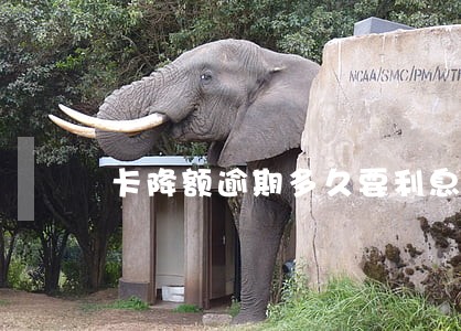 卡降额逾期多久要利息