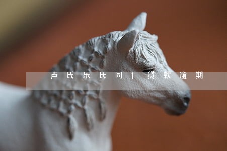 卢氏乐氏同仁贷款逾期 卢氏乐氏同仁贷款逾期