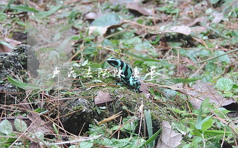 卢氏法院陈庆军