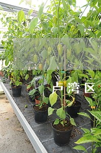 卢湾区债务协议律师网站 卢湾区债务协议律师网站