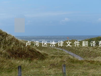 卢湾区法律文件翻译费用 卢湾区法律文件翻译费用