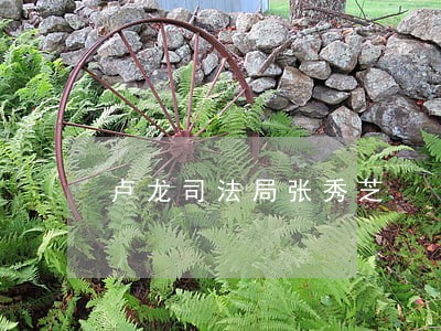 卢龙司法局张秀芝 卢龙司法局张秀芝