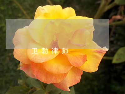 卫勃律师 卫勃律师