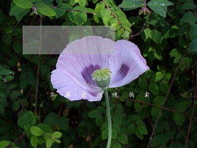 卫滨区法院拍卖 卫滨区法院拍卖