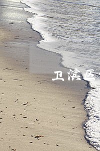 卫滨区海事海商律师在线免费咨询