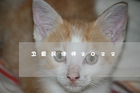 卫爱民律师2022 卫爱民律师2022