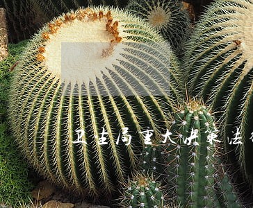 卫生局重大决策法律顾问制度 卫生局重大决策法律顾问制度