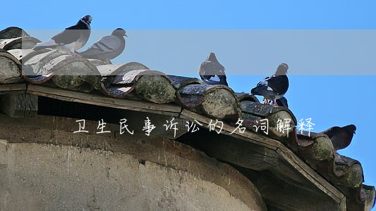 卫生民事诉讼的名词解释 卫生民事诉讼的名词解释