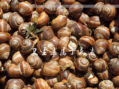 卫生法属于民法 卫生法属于民法