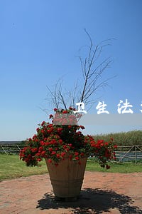 卫生法规电子版免费下载 卫生法规电子版免费下载