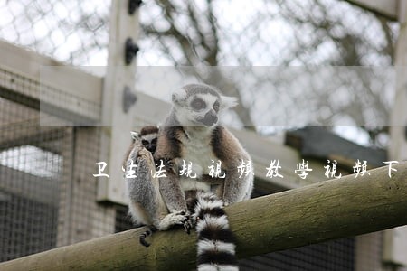 卫生法规视频教学视频下载 卫生法规视频教学视频下载