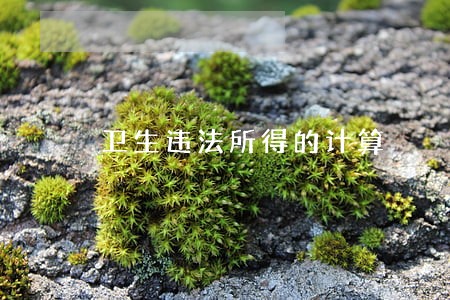 卫生违法所得的计算 卫生违法所得的计算