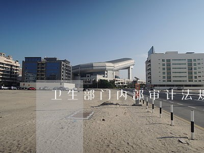 卫生部门内部审计法规 卫生部门内部审计法规