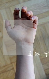卫跃宁律师讲座